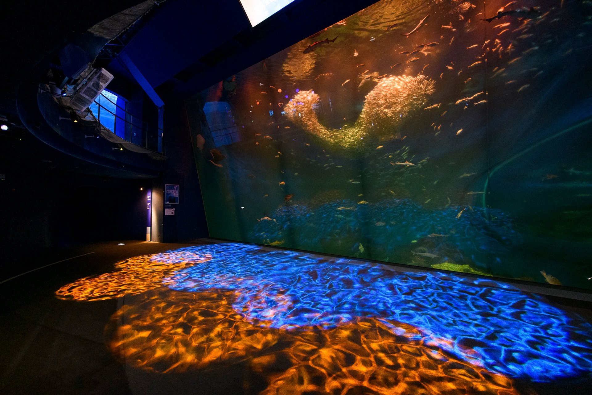 大洗水族館夜間開放時嘅館內燈光效果