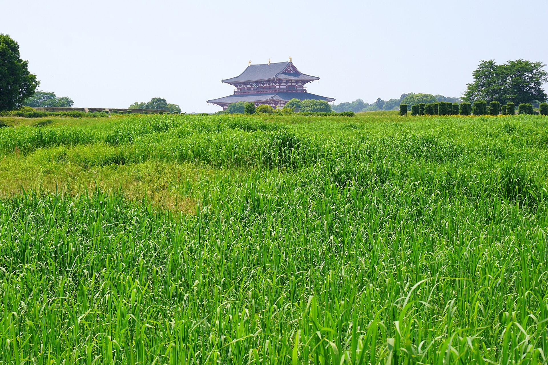 奈良平城宮跡歷史公園大極門前嘅秋日景色,地上散落栗子,無人物