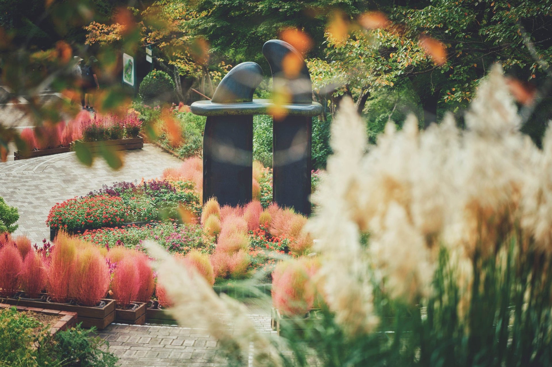 神戸布引ハーブ園グラスハウス前嘅紅花玉（コキア）景觀
