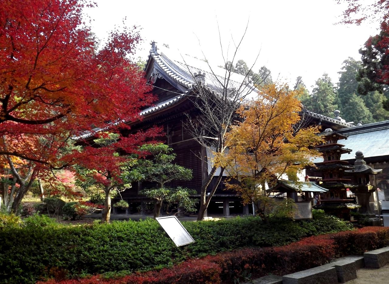 夜間點燈嘅白峯寺境內，紅葉同古建在藍色夜幕下亮燈，石徑引向本堂