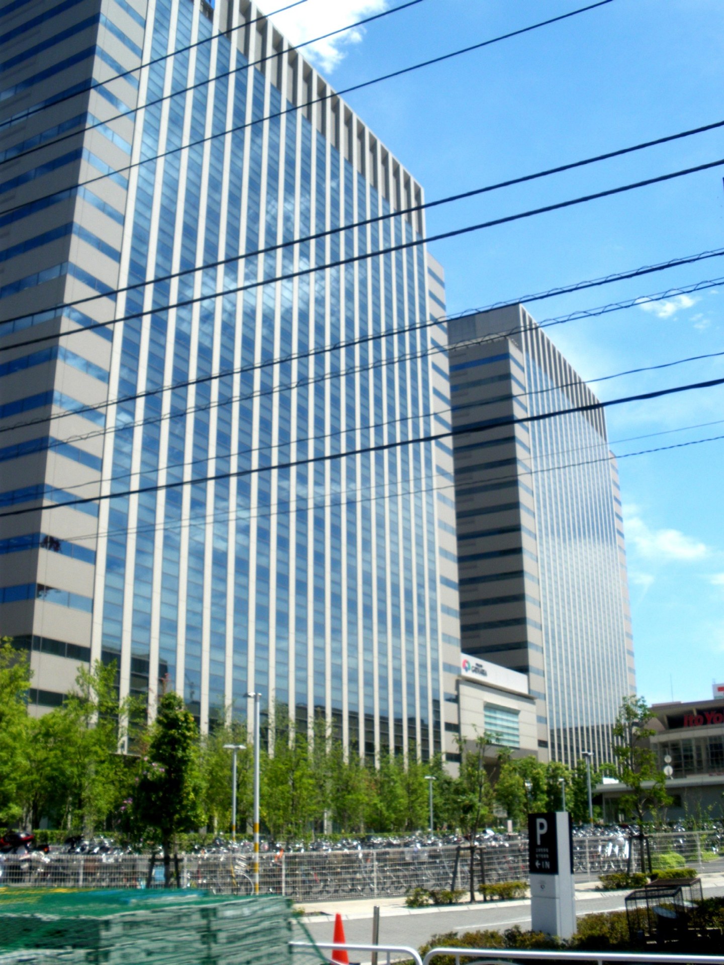 深川ギャザリア冬季燈光節:高約10米嘅主樹,周围有光之鳥裝飾