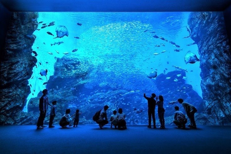 仙台安潘曼兒童博物館與海之森水族館親子套票宣傳圖（來源：PR TIMES）