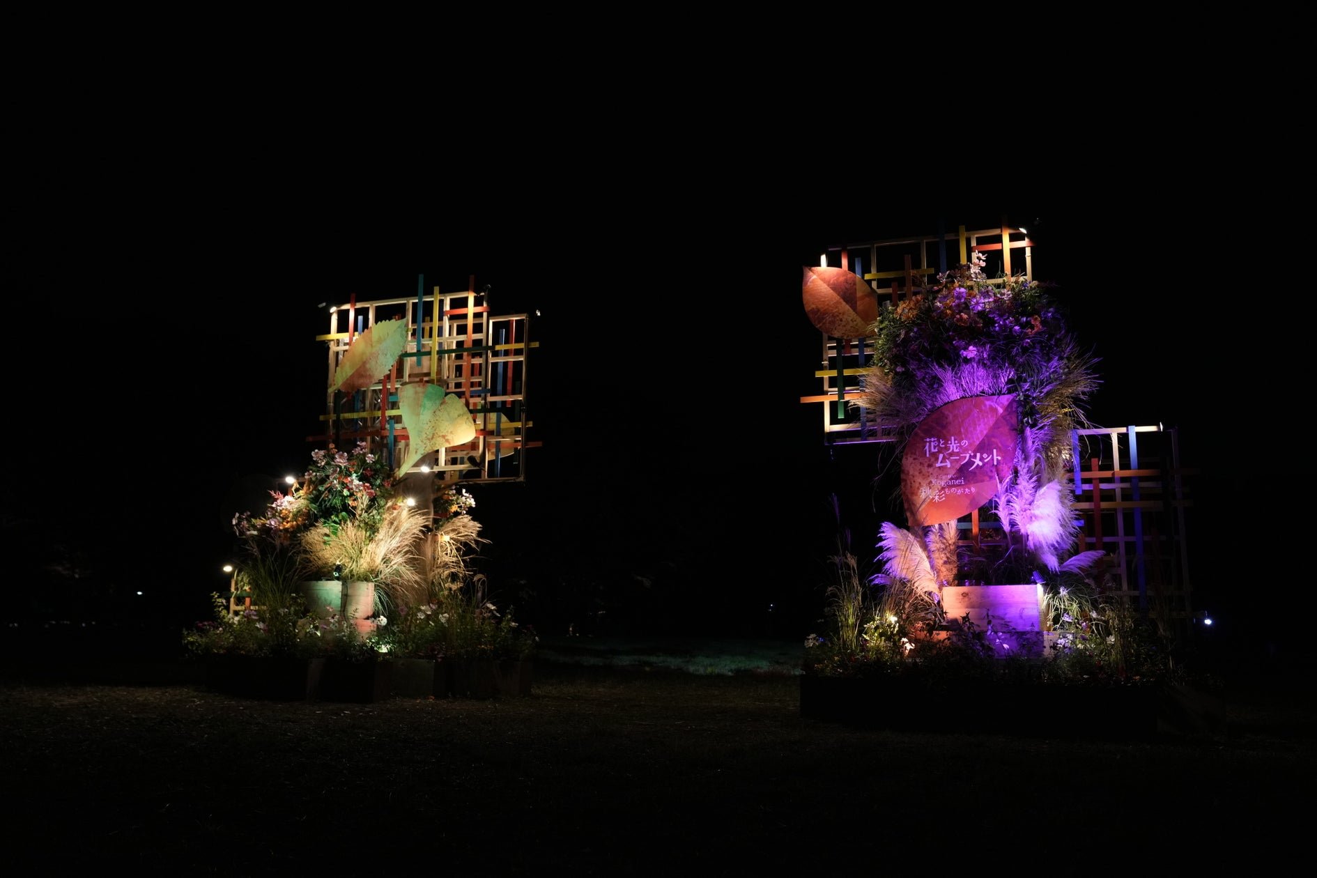 小金井公園秋季燈光展「秋彩物語」夜景