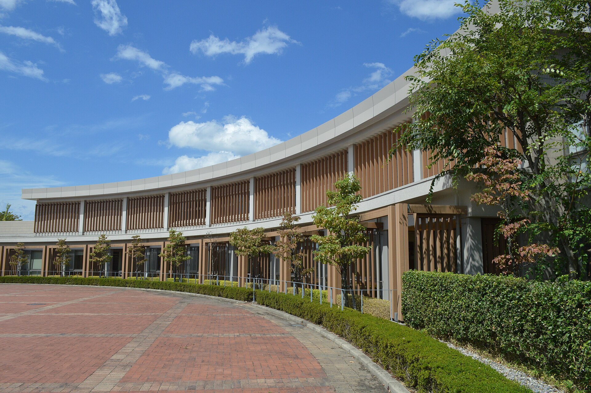越前市街道街景，傳統木造建築同書店門口