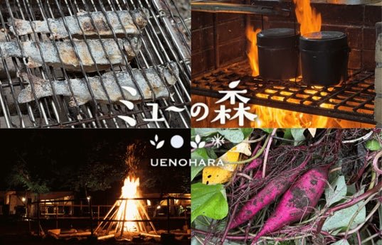 山梨上野原市「ミューの森」glamping 設施(圖片來源:日本旅遊|PR TIMES 旅遊觀光)
