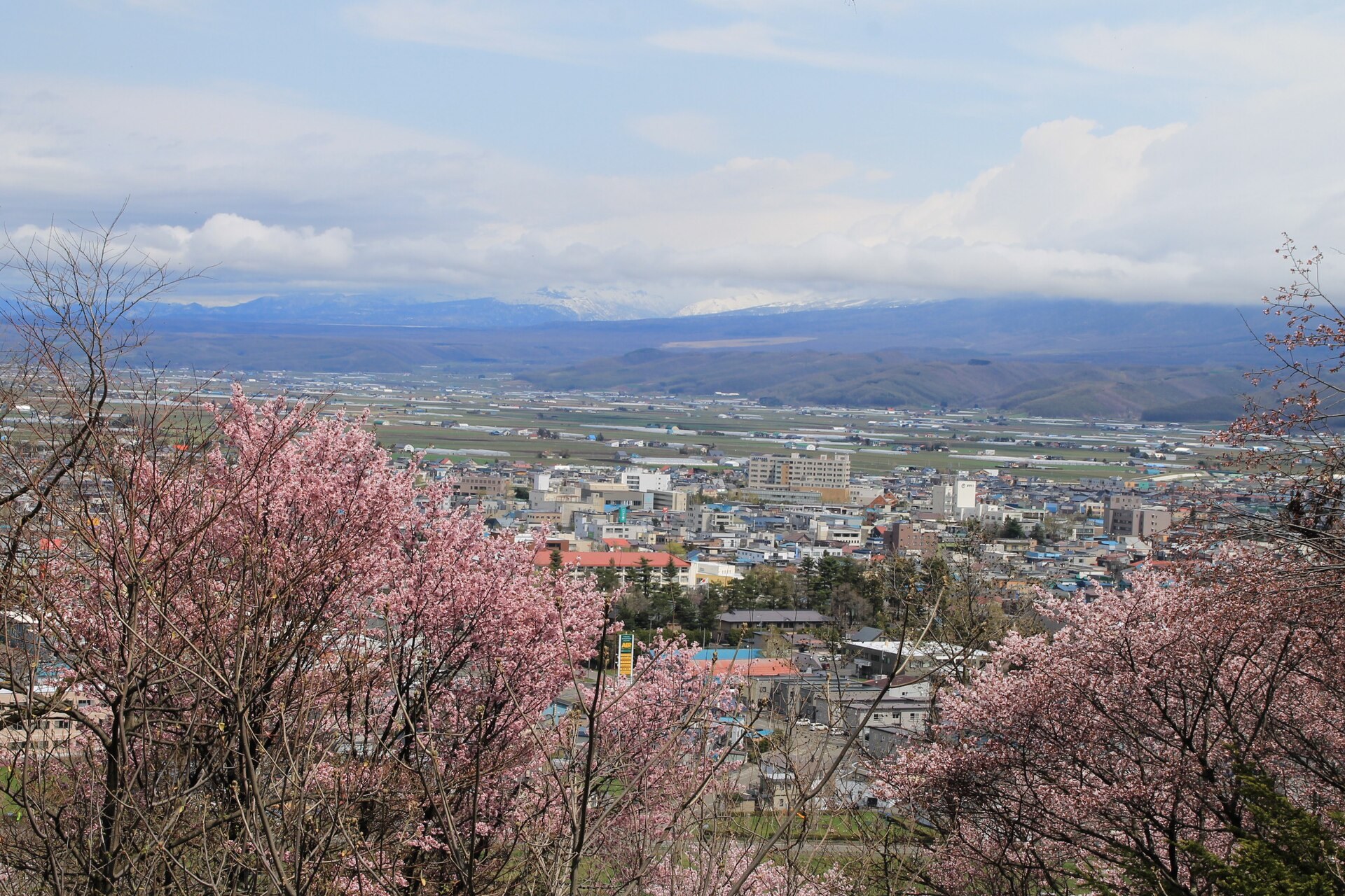 北海道上川地區（旭川、富良野一帶）嘅田園山景同JR列車行經鄉村，遠處無可見人脸。
