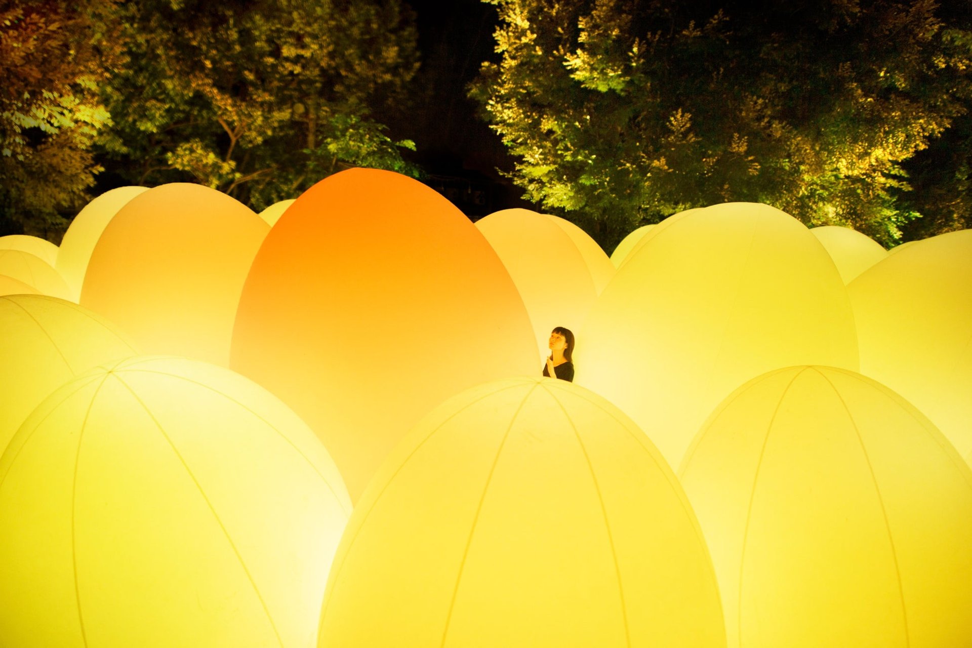 teamLab 夜間裝置藝術進駐浜離宮恩賜庭園，11月25日至12月24日，門票開售