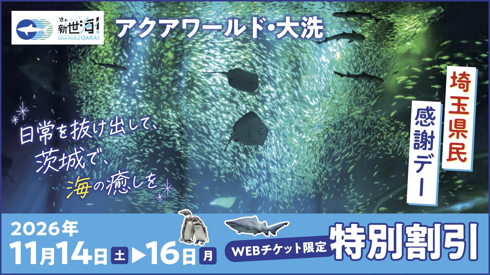 アクアワールド・大洗 特別割引キャンペーン告知