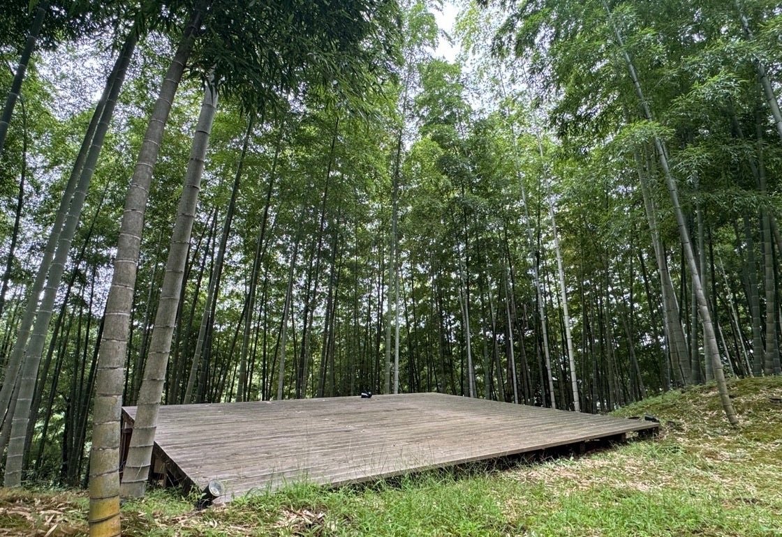1,000㎡竹林完全包場嘅營地BAMBOO BASE KATSUURA