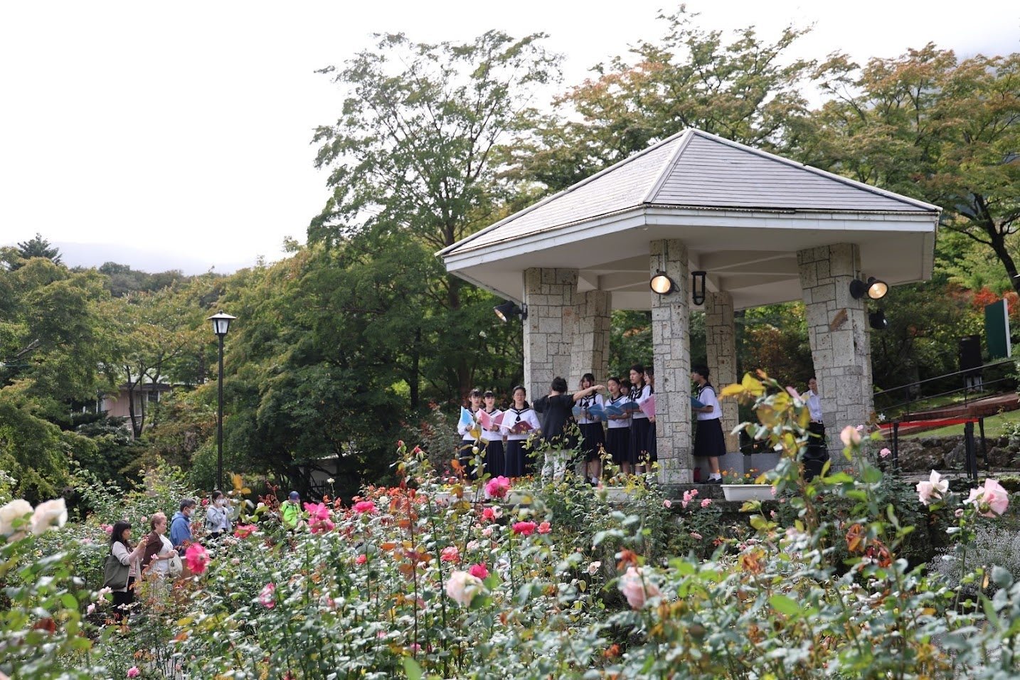 箱根強羅公園玫瑰園活動現場