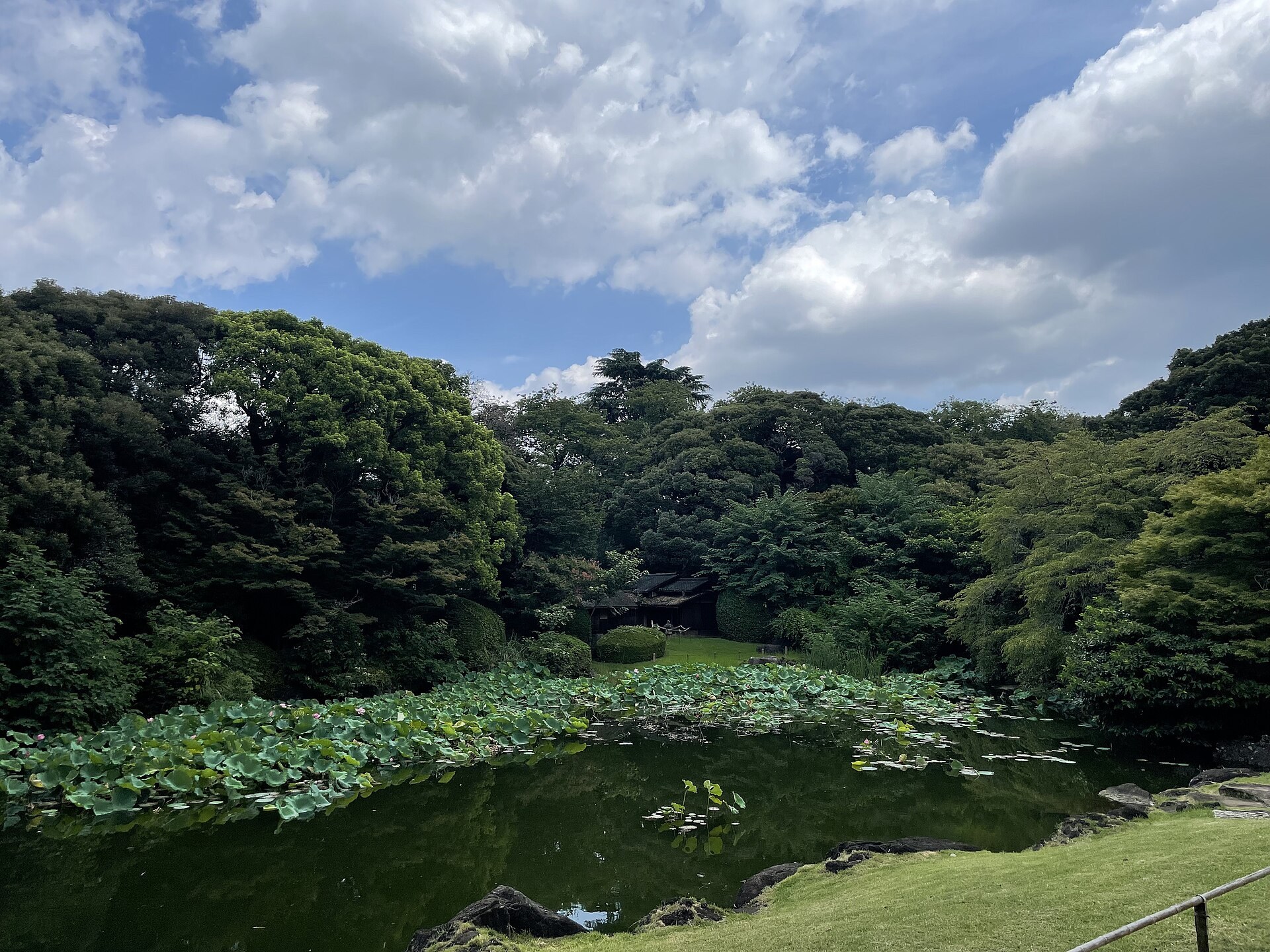 東京國立博物館主樓外景，上野公園樹木環繞