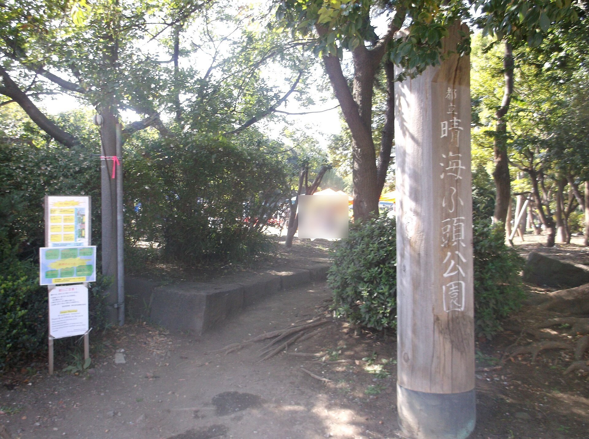東京晴海ふ頭公園嘅萬聖節自由市場，攤位用南瓜同橙色佈置，背景係東京灣海景。