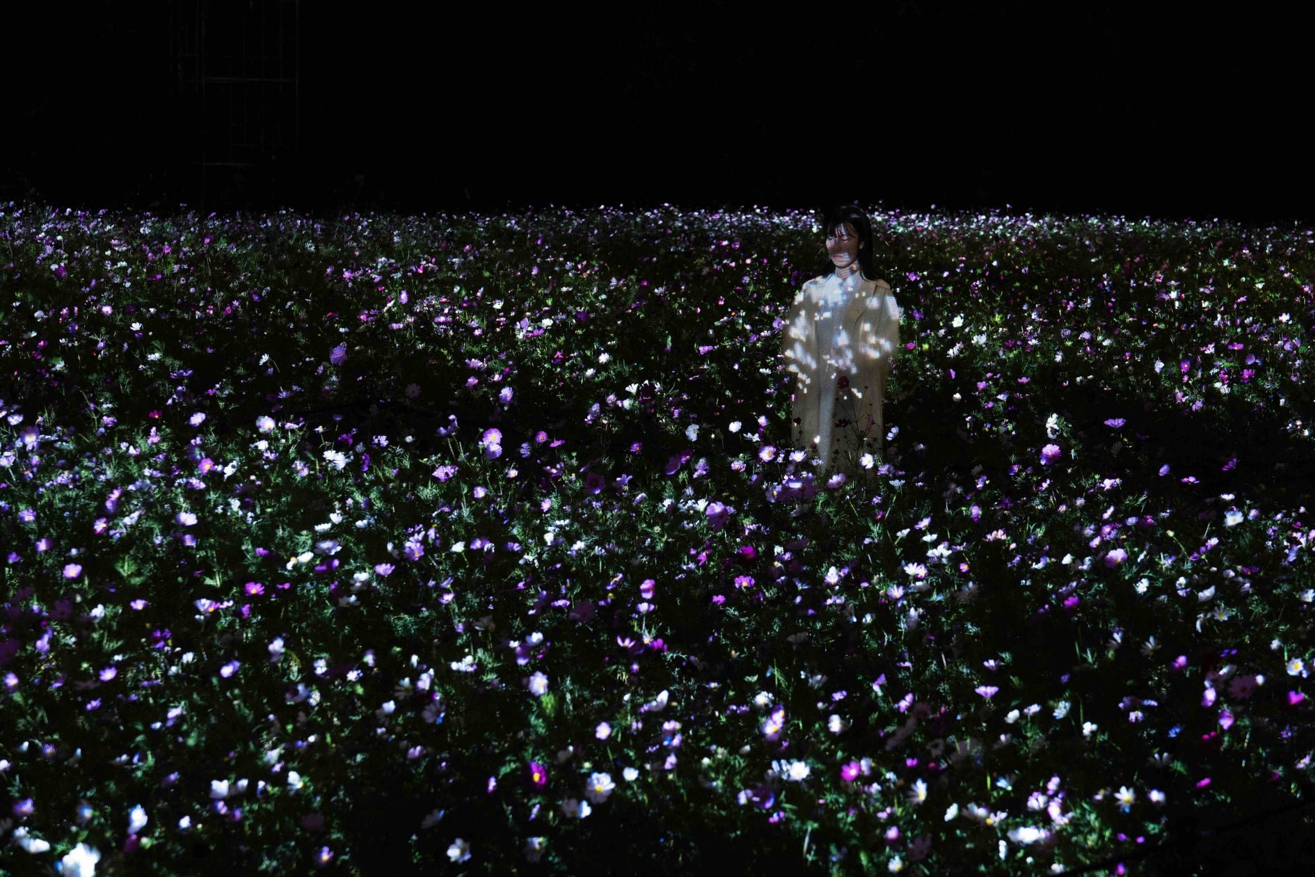 teamLab Botanical Garden Osaka 作品參考畫面