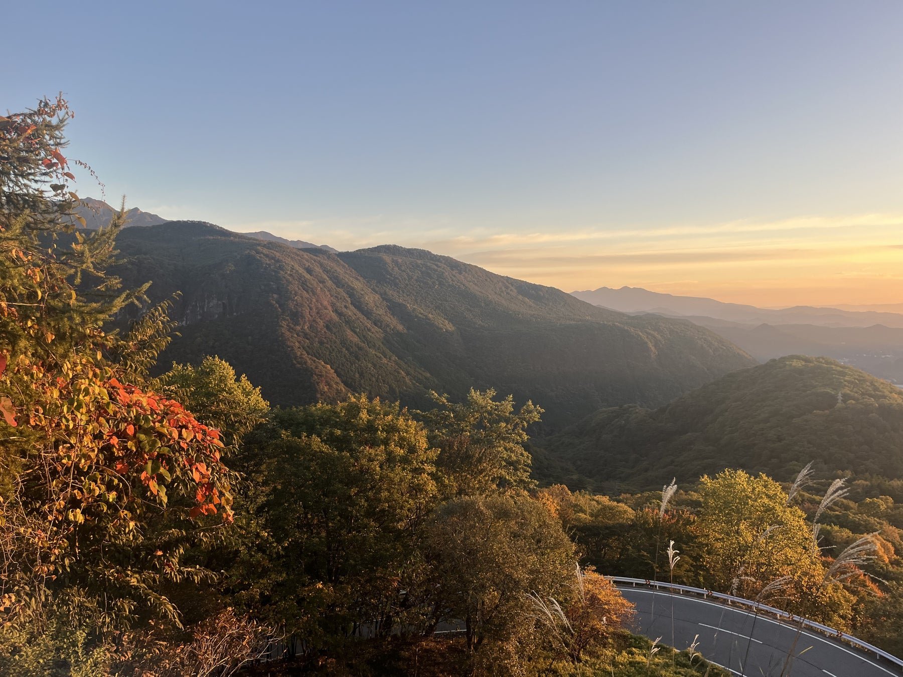 早朝、紅葉に染まるいろは坂（日本旅遊｜PR TIMES 旅遊觀光）