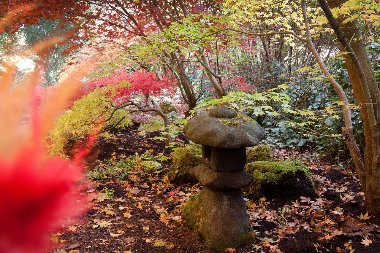 紅楓環繞嘅日式庭園,茅草屋頂嘅古建築,紅綠交織嘅秋景。