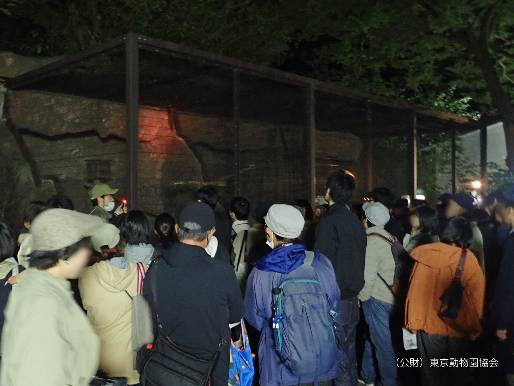 井之頭自然文化園飼育員夜間動物導覽