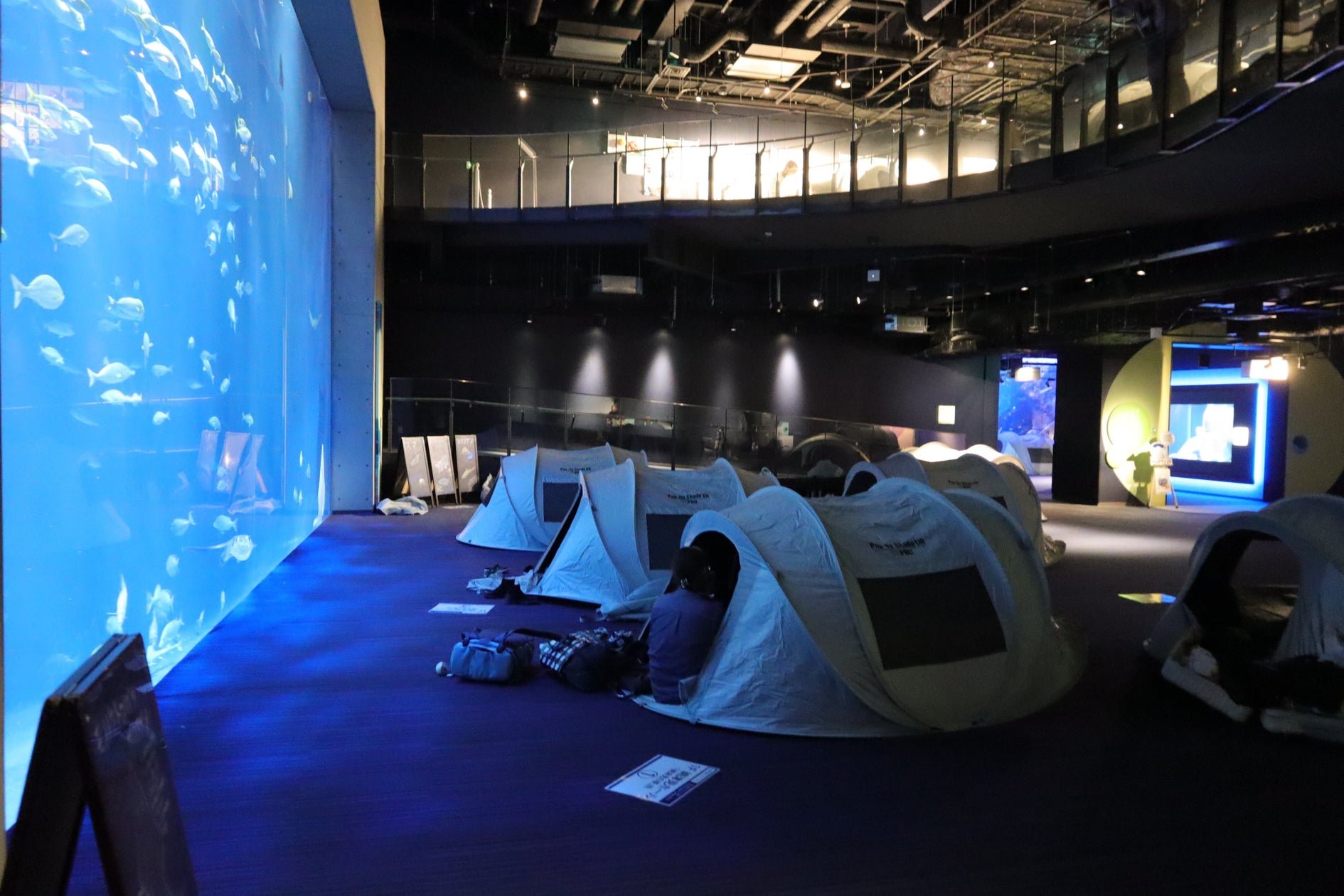 喺水族館搭帳篷過夜！四國水族館「Nightscape Camp 2026秋」11月28-29日，每帳篷40,000日圓