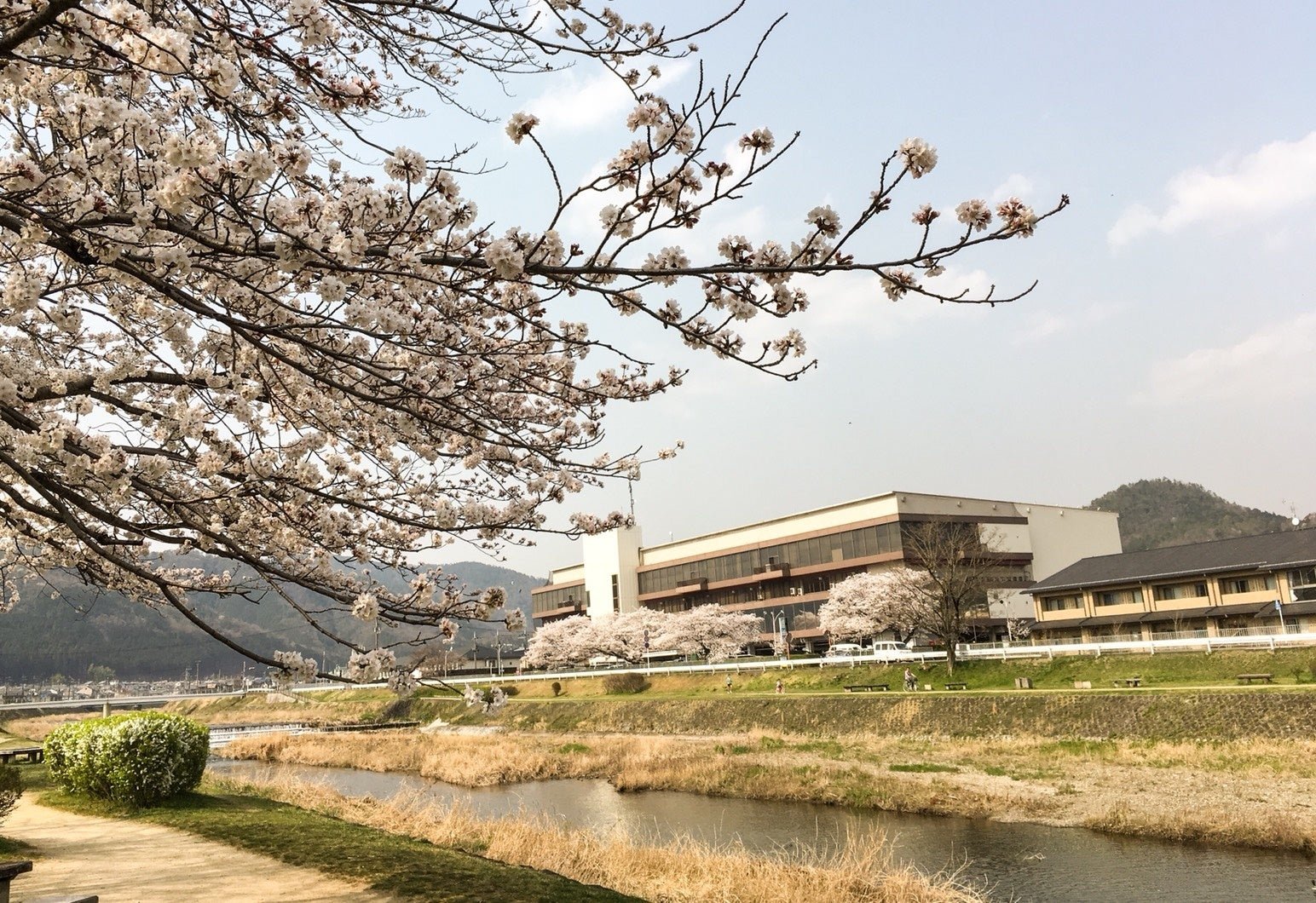 MKボウル上賀茂外景
