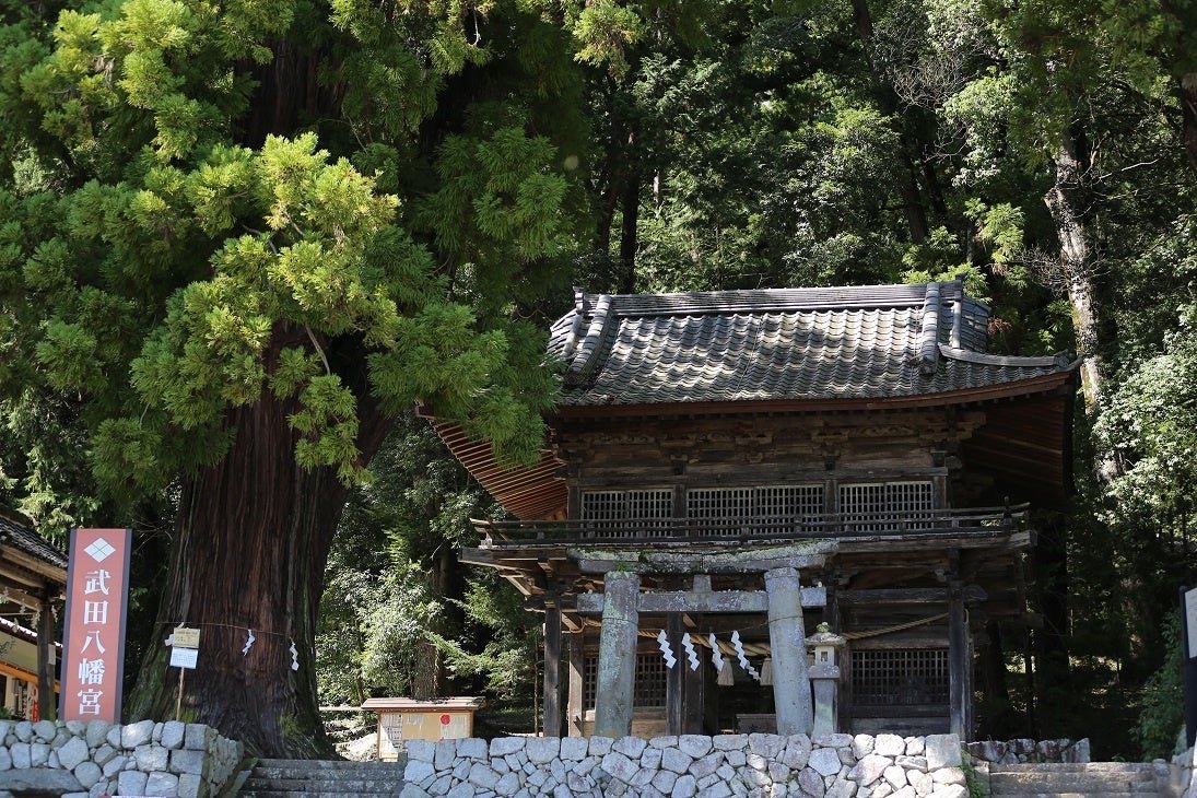 武田八幡宮（山梨縣韮崎市）本殿及境內景色