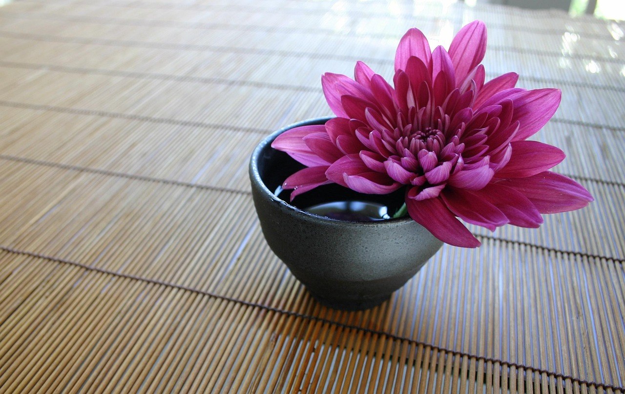 向島百花園庭園背景入嘅古典菊展示,秋色暖光