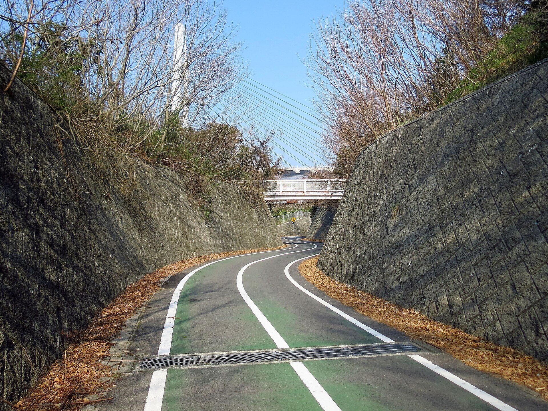 跨海橋梁連結多個綠島,單車手沿高速公路行進