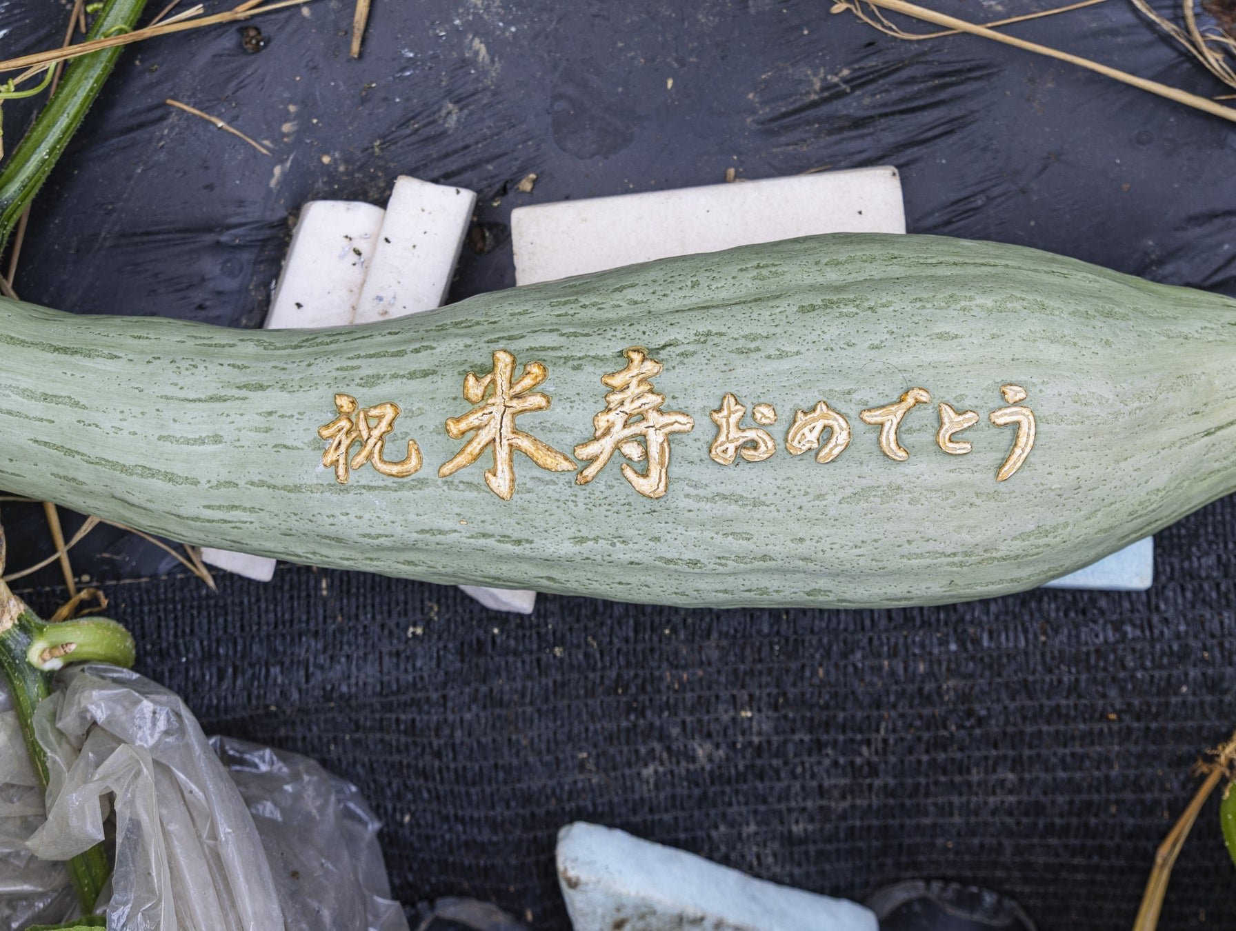 字彫宿儻南瓜：刻字後隨生長浮現字跡嘅實物，展示喺高山本陣平野屋。