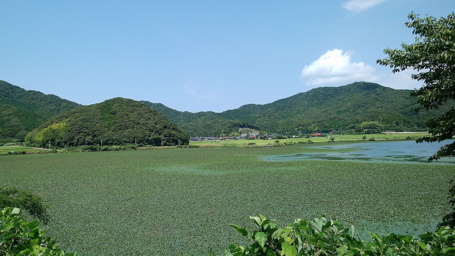 青海島航拍：海浪侵蚀形成嘅壯觀海蝕地貌