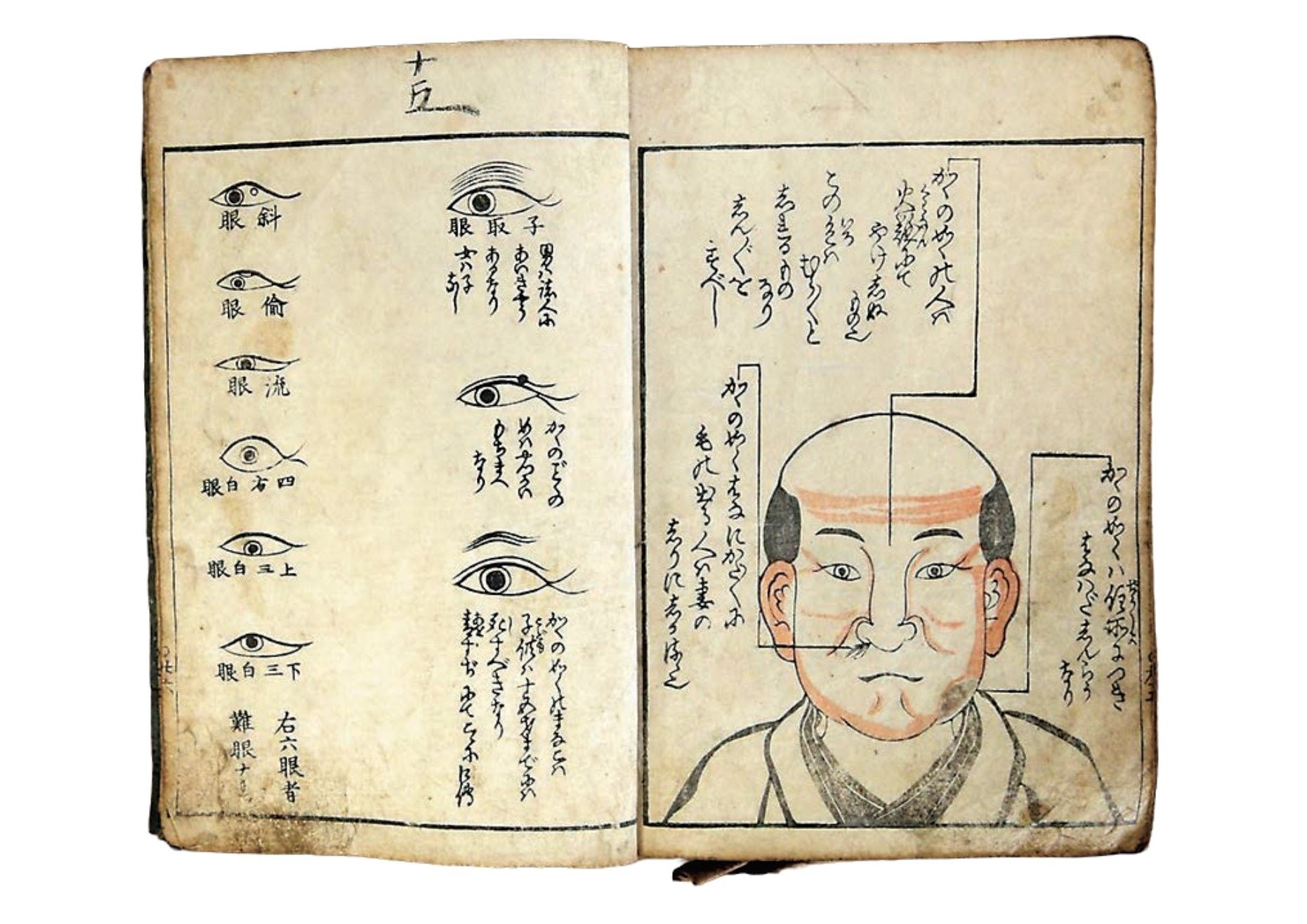遠野市立博物館蔵「人相占い解説書」展示