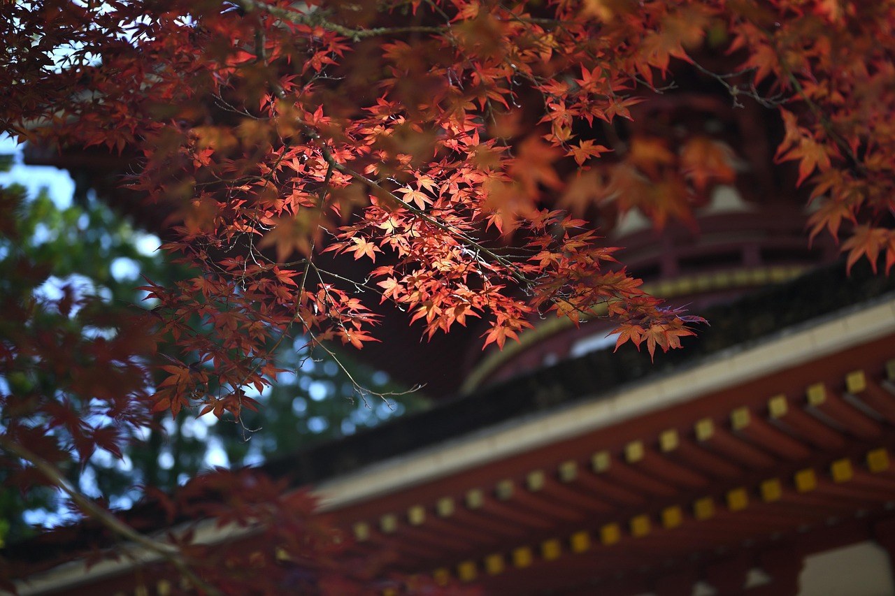 奈良正曆寺紅葉季節,寺廟被紅楓環繞(示意圖)