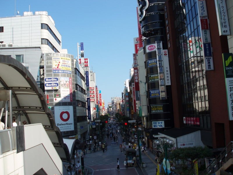 日本地方城市舉辦戶外社區開放日，多個美食車攤位與運動體驗區