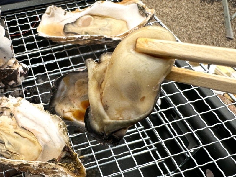 星の里いわふね(星之里いわふね)BBQ區,背景見自然山景