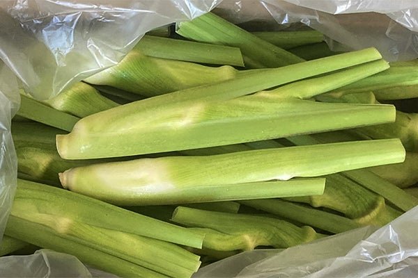 マコモ（禾本科水生植物）嘅莖根部膨大部位即係マコモダケ