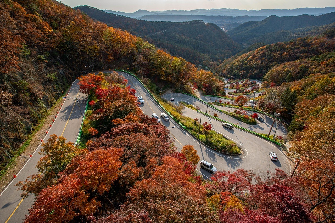 紅葉季節未鋪裝嘅林道山路