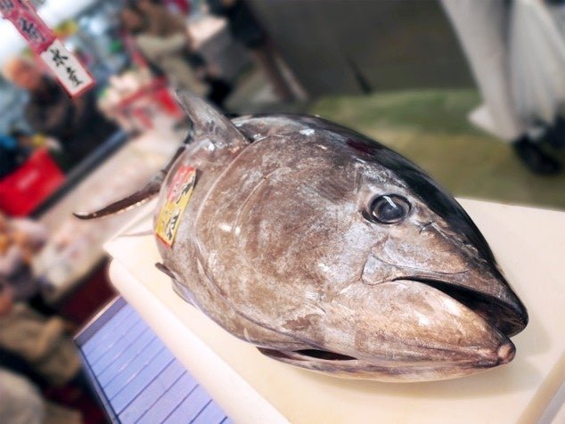 角上魚類「まぐろの日」國產生本鮪拆解實演銷售畫面（圖源：日本旅遊｜PR TIMES 百貨便利店）