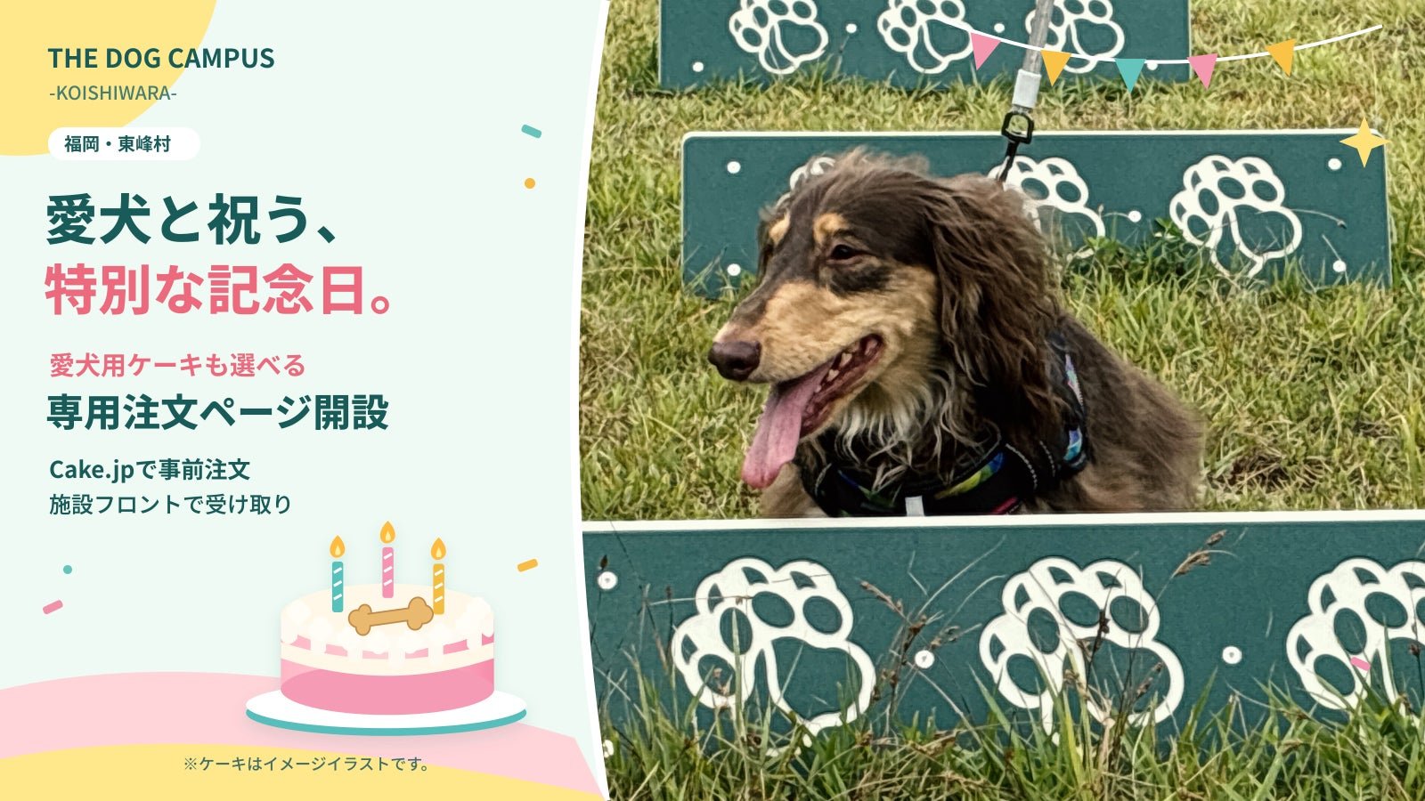 THE DOG CAMPUS -KOISHIWARA-(福岡縣東峰村)設施圖片