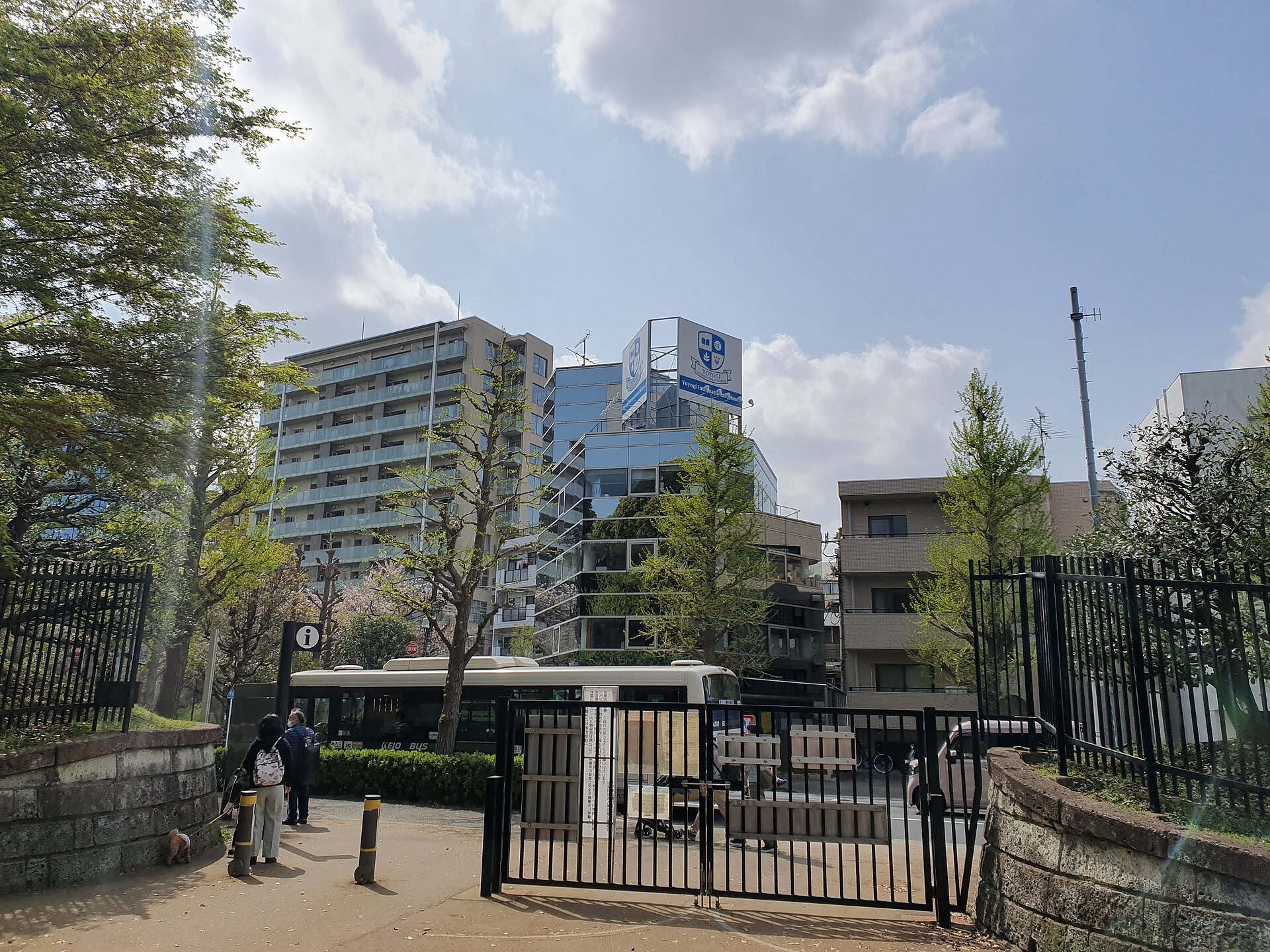 代々木公園ケヤキ並木で並ぶキッチンカーと出店のリアルな写真、人通りあり（顔非表示）