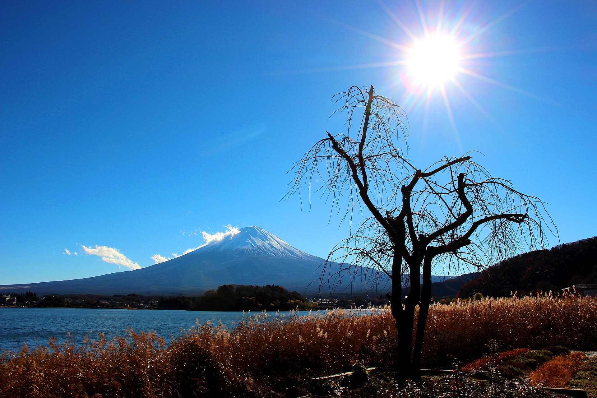 河口湖畔紅葉樹同對面嘅富士山，湖水倒映山影