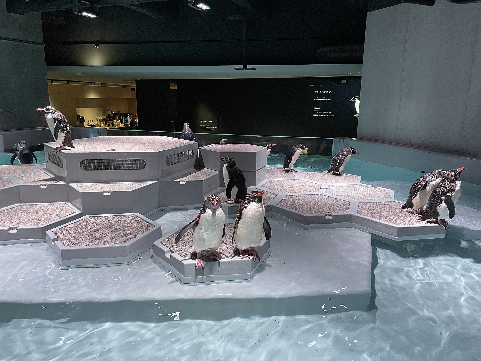 札幌都市型水族館 AOAO SAPPORO 外觀示意,玻璃幕牆建築