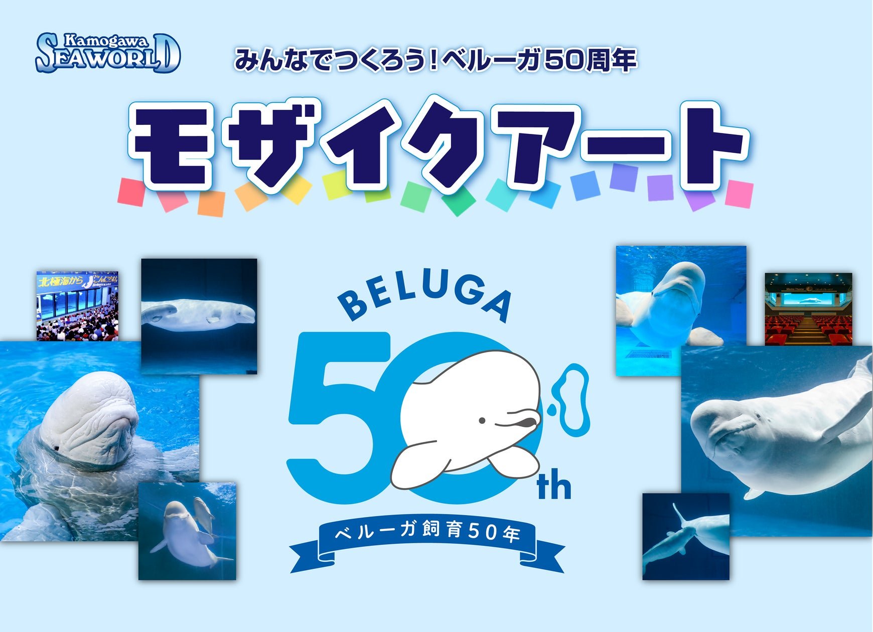 鴨川水族館白鯨（資料圖片）