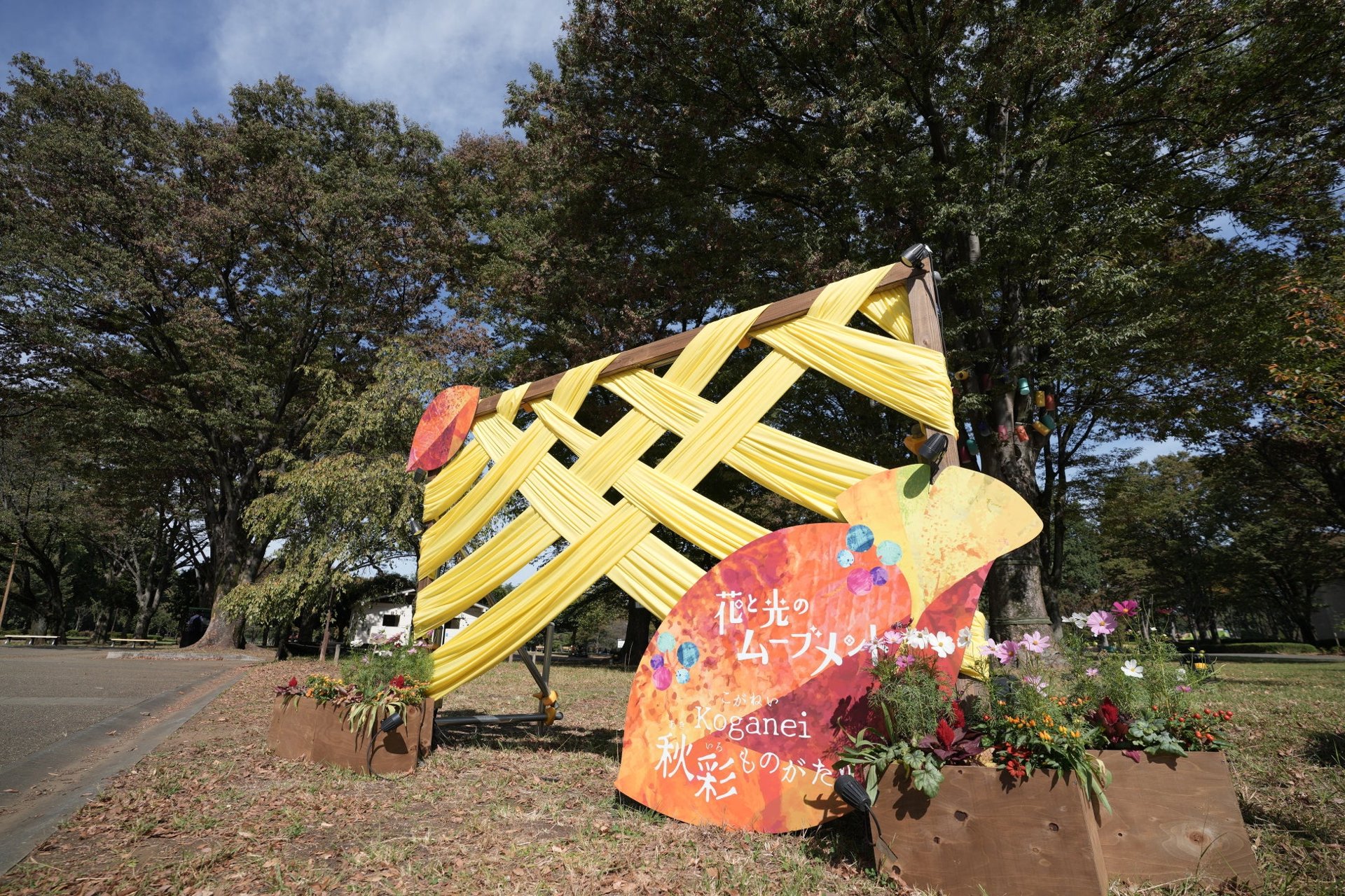 東京小金井公園「秋彩物語」燈光展 10/23至11/8免費入場