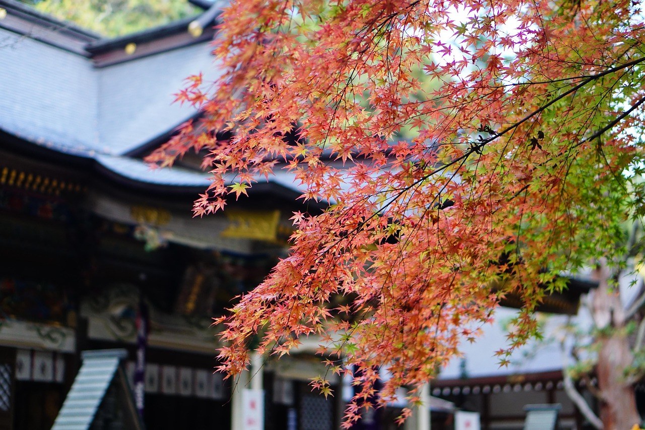二所山田神社喺紅葉季節的夜間投影映射同燈光點亮