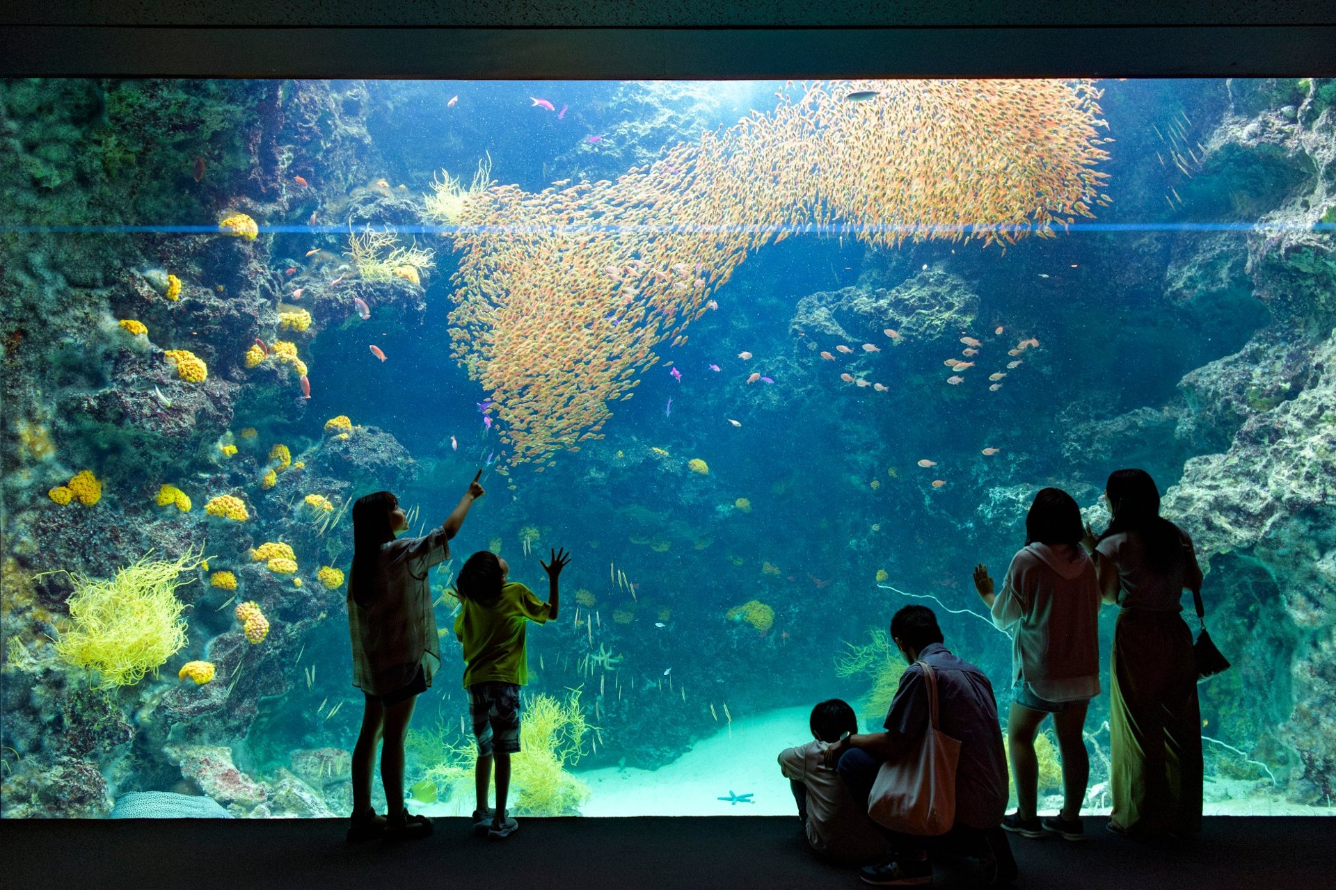 アクアマリンふくしま（水族館）館内