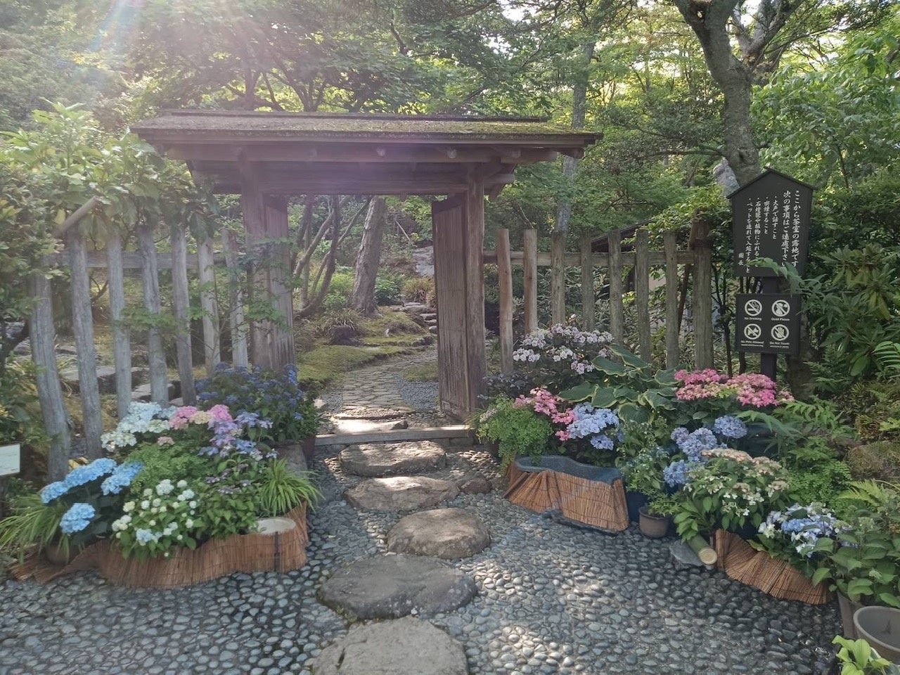 箱根強羅公園特設攝影點イメージ（圖片來源：PR TIMES）