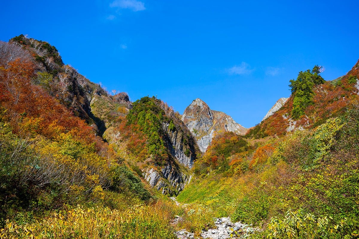 小谷村嘅雨飾山,日本百大山之一,10月中旬後見紅葉。
