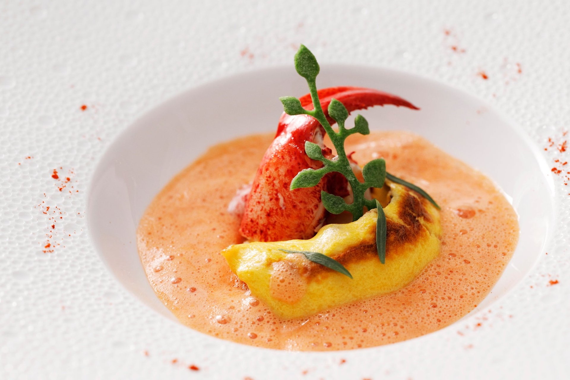 Bella Vista 聖誕限定晚餐菜式：紅蝦配 Américaine 醬及 gratinée