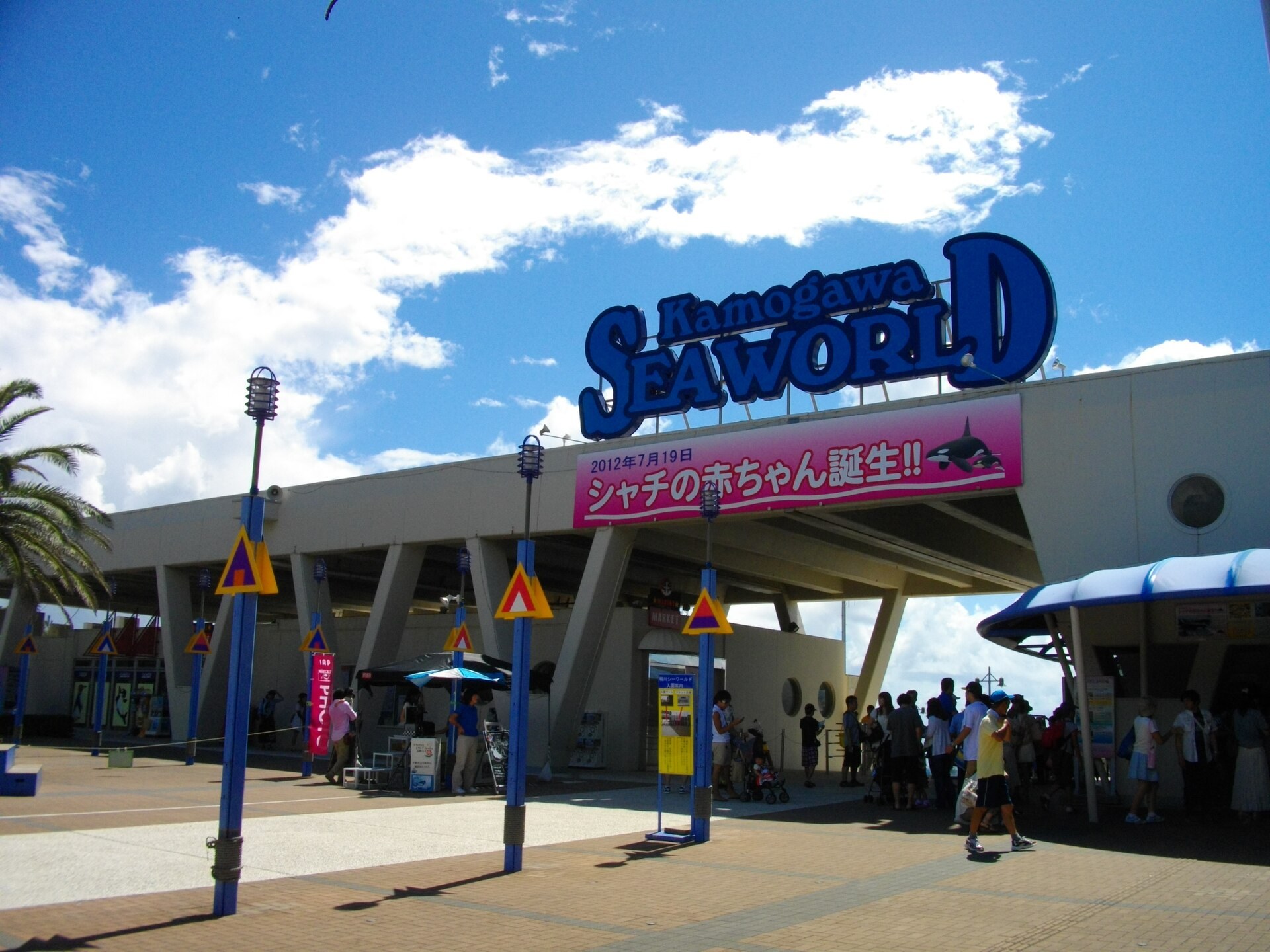 鴨川水族館「計量記念日」公開體重測定,瓶鼻鯨同海象各有唔同量法