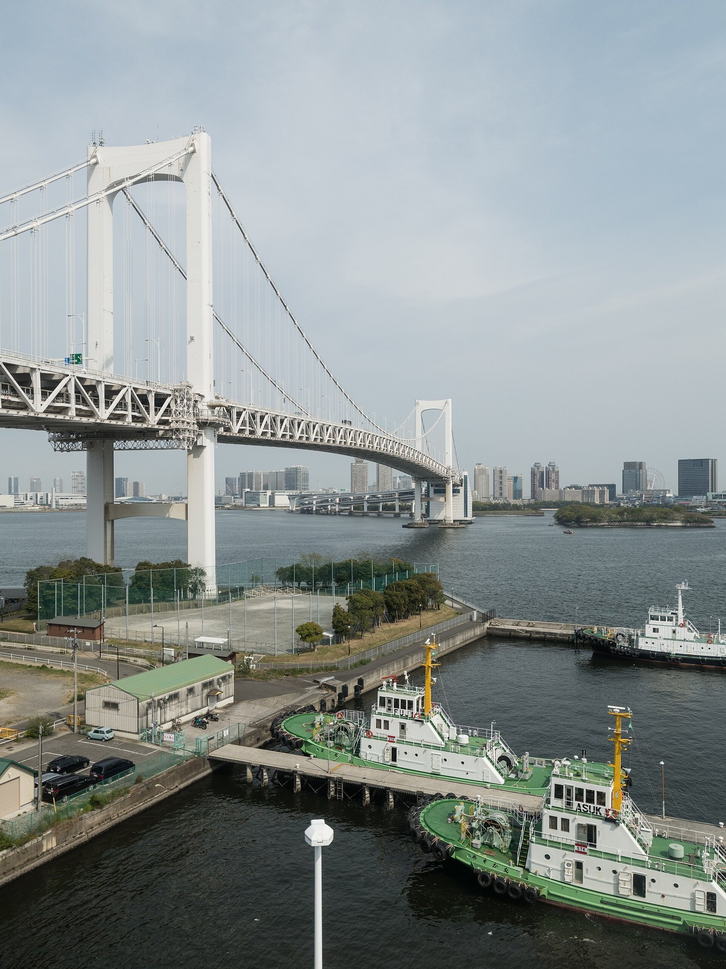 東京灣大華火祭嘅示意畫面:多色煙花在東京灣夜空綻放,背景係東京城市輪廓、東京塔同 Rainbow Bridge,岸邊一排人影望住煙花,唔見面孔。
