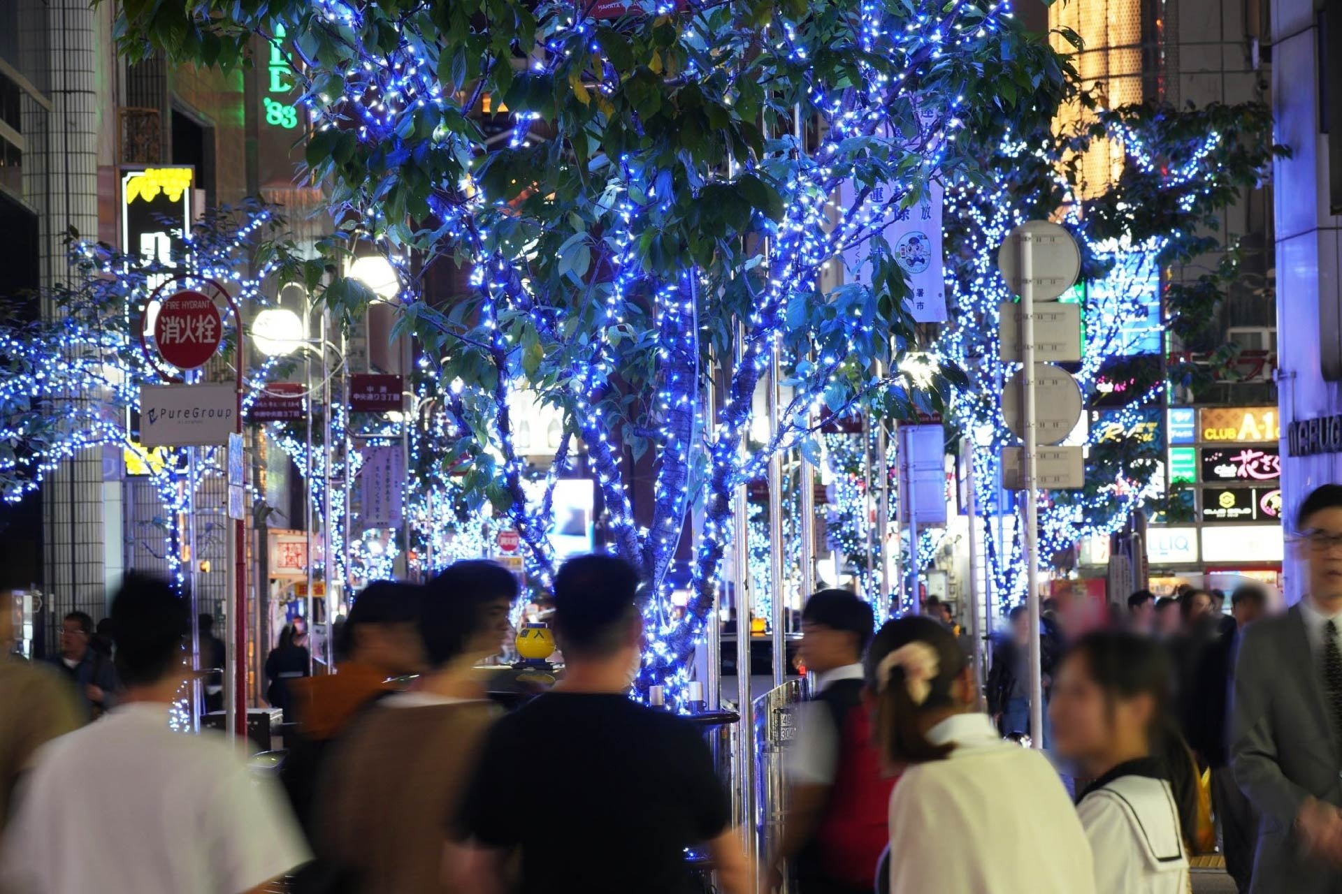 福岡中洲中央通り聖誕燈飾夜景