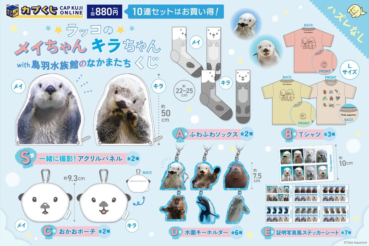 鳥羽水族館海獺メイちゃん、キラちゃん等即食商品列表（圖片來源：PR TIMES）