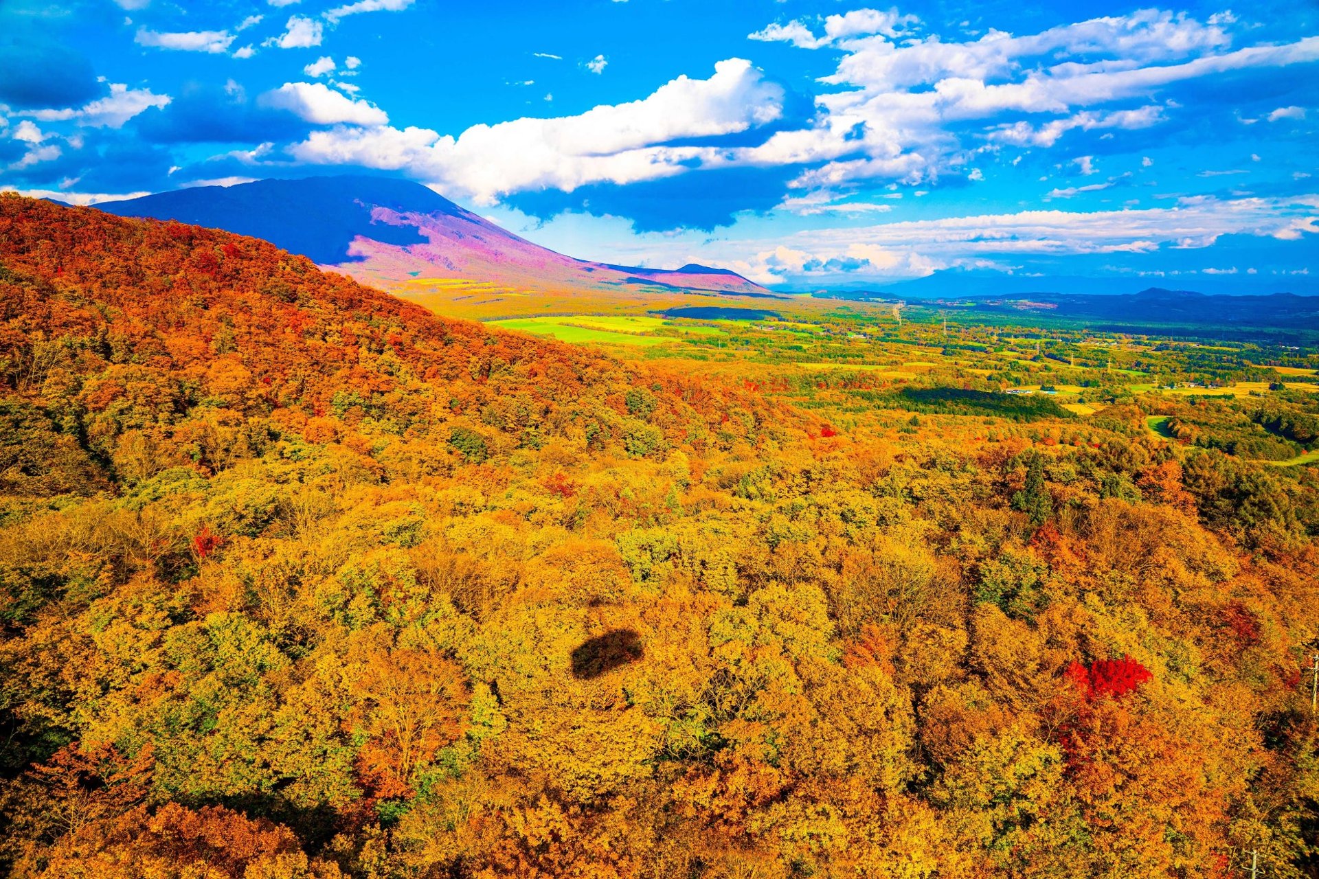 雫石紅葉纜車空中散步,赤橙金色嘅山嶺